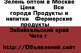 Зелень оптом в Москве. › Цена ­ 600 - Все города Продукты и напитки » Фермерские продукты   . Забайкальский край,Чита г.